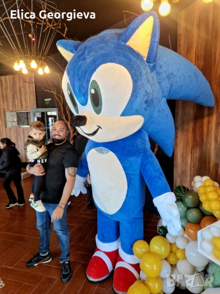 Соник , снимка 1