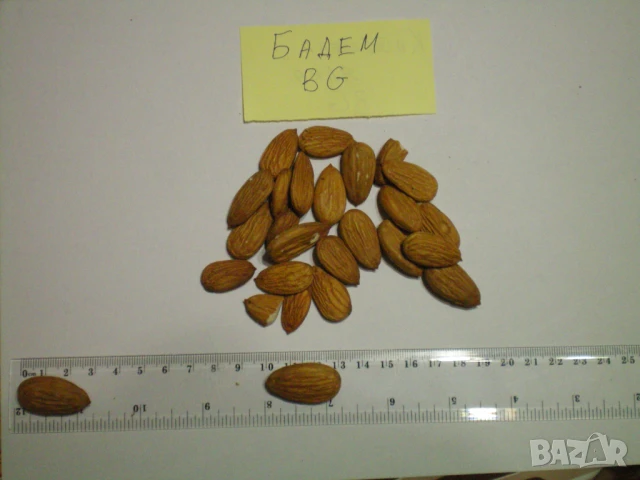 Продавам Български Бадеми, Орехи, Лешници и Кайсиеви ядки /начупени/