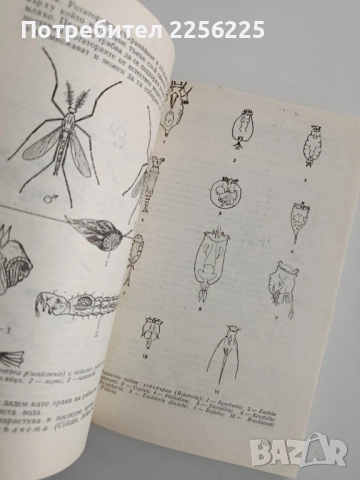 Акваристика за всеки, снимка 5 - Специализирана литература - 52467363