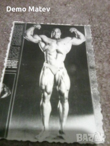 Продавам ретро картички  Бр. Аргирови, Кисс и др., снимка 4 - Колекции - 39049719