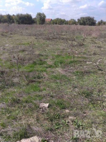 Парцел в регулация село Пъстрен. От собственик!, снимка 6 - Парцели - 47699252
