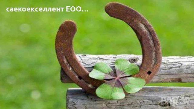 Саекоекселлент продава Автоматична кафе машина ”De’Longhi” Magnifica-ESAM4200.S ЕCO, снимка 6 - Кафемашини - 43446828