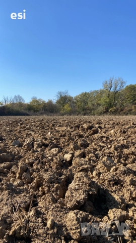 100 ЛВ/ДКА - Земеделски Земи в област Варна, снимка 4 - Земеделска земя - 52516317