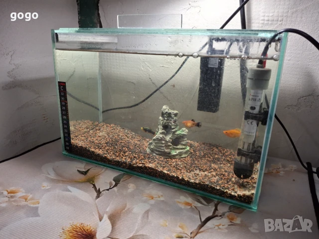 Три  Аквариума , снимка 2 - Аквариуми - 50487180