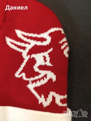 Зимна шапка на Kaiserslautern , снимка 3 - Шапки - 52743245