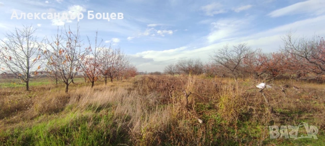 с. МАРКОВО- ЧЕРЕШОВА ГРАДИНА до борсата първенец, снимка 5 - Земеделска земя - 49249971