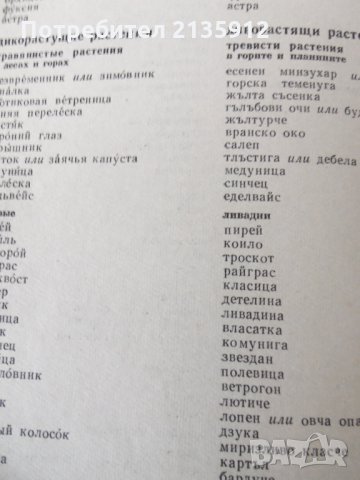 Тематичен руско-български речник, снимка 6 - Чуждоезиково обучение, речници - 32019509