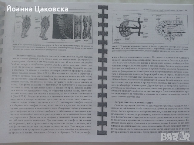 Учебник по физиология на човешкия организъм, снимка 2 - Учебници, учебни тетрадки - 53169482
