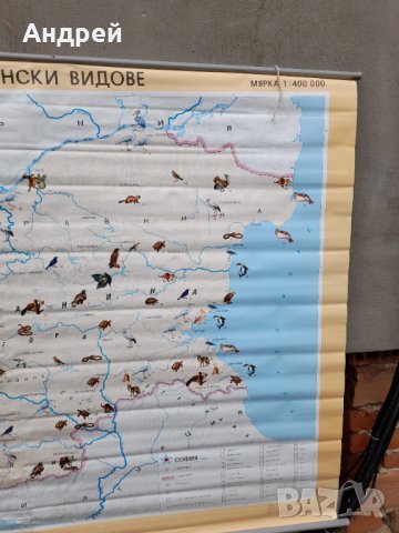 Стара учебна карта Защитени животински видове, снимка 4 - Други ценни предмети - 37982203