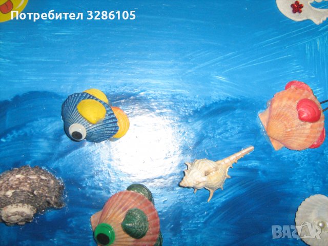 картина-животни на морското дъно, снимка 3 - Колекции - 37622069