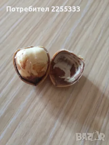 Продавам лешникова градина, снимка 14 - Земеделска земя - 48766274