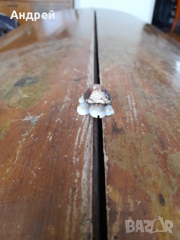 Стар сувенир Костенурка