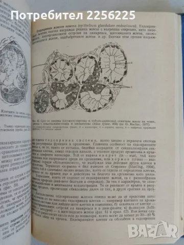 Обща хистология и ембриология, снимка 4 - Специализирана литература - 47491749