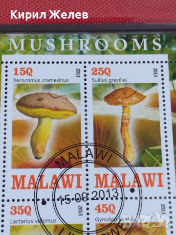 Пощенски марки чиста комплектна серия ГЪБИ 2013г. поща Малави за колекция 29802, снимка 4 - Филателия - 37689347
