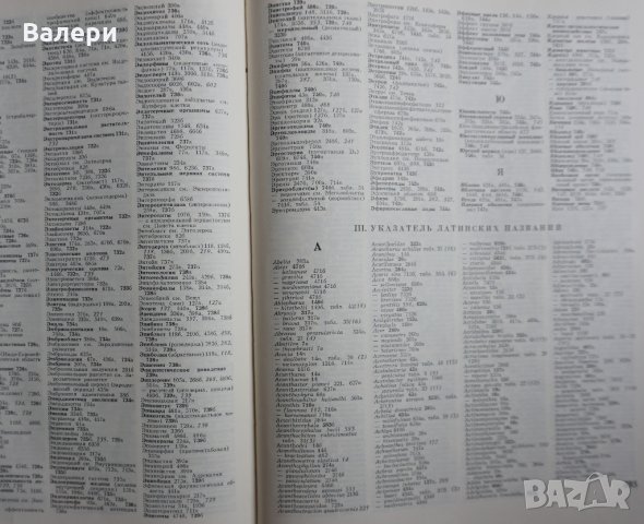 Книга Биологический Энциклопедический словарь , снимка 6 - Енциклопедии, справочници - 28688433