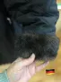 Немско макси палто 🇩🇪, снимка 4