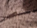 Рокля плетиво с леко ламе на Юнона , снимка 2