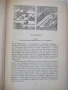 Книга "Сказание о Ёсицунэ - А. Стругацкий" - 288 стр., снимка 3