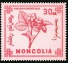 Диви горски плодове на Монголия-8 марки, 1968 г., Монголия, снимка 9