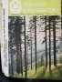 Горско стопанство - списание 1965 година, снимка 5