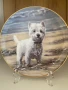 Колекционерска чиния от серия “ Westies”., снимка 1
