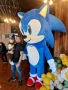 Соник , снимка 1