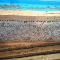 Продавам 100 % натурален полифлорен пчелен мед от Сакар планина, снимка 6 - Пчелни продукти - 25878382