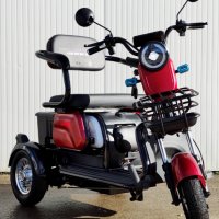 Електрическа триколка с три седалки EcoWay модел МX3, снимка 7 - Мотоциклети и мототехника - 44077859