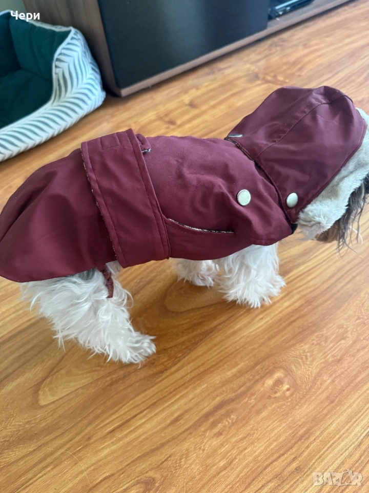 Дрешка за дребна порода куче, снимка 1