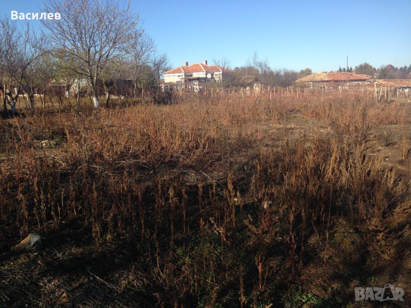 Парцел в регулация 1126 кв.м. в село Смолница област Добрич, снимка 1