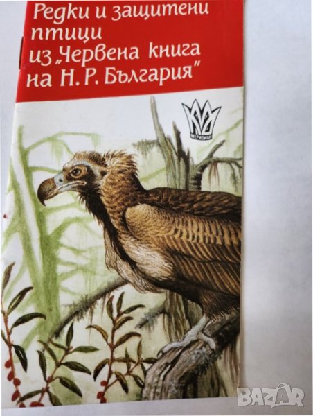 Редки и защитени птици из "Червената книга на Н.Р.България" - рядкост, снимка 1