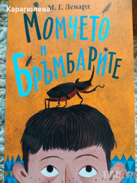 Нов детски фентъзи роман "Момчето и бръмбарите", снимка 1