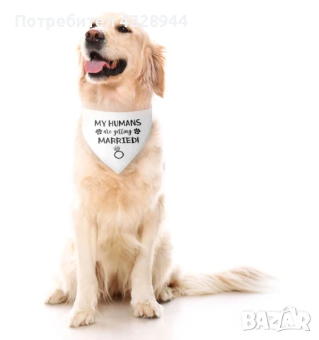 Кучешка бандана за сватба – "My Humans Are Getting Married" – 63x43 см
