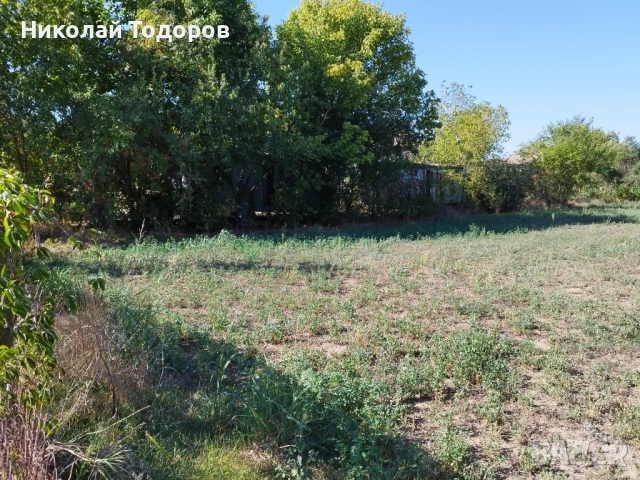 Продавам дворно място с Кесарево , снимка 3 - Парцели - 53138416