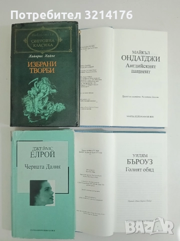 Голият обяд - Уилям Бъроуз (2005), снимка 2 - Художествена литература - 52681167