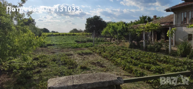Продавам къща в село Владимирово, общ. Добрич, снимка 3 - Къщи - 50790045