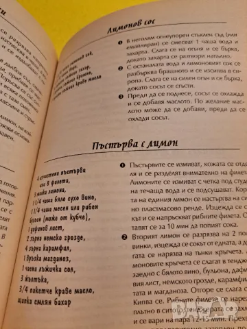 Екзотична цитросува кухня и Лятна кухня, снимка 6 - Други - 47552402