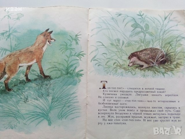 Жил-был ёжик - И.Акимушкин - 1986г., снимка 2 - Детски книжки - 43090745