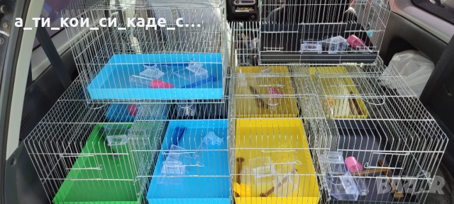 Чисто нови кафези със два отвора за мътилник, снимка 3 - Оборудване и аксесоари за оръжия - 52566089