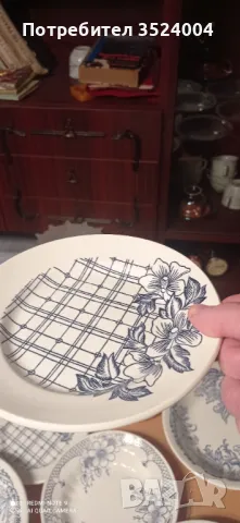 Нов Руски сервиз ръчно рисувани Състоящ се от 5 големи чинии като купи,3 десертни чинии и 3 дълбоки , снимка 3 - Антикварни и старинни предмети - 48352638