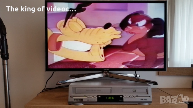 VHS Видеокасета с най-известните анимации :Гуфи , Доналд,  Чип и Дел и други VHS, снимка 15 - Анимации - 53173763