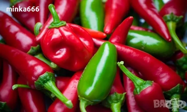 Семена за люти чушки халапеньо.