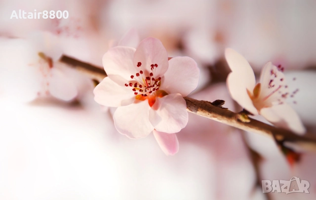 Sigma 18-200mm f/3.5-6.3 DC OS EF-S обектив Канон, снимка 6 - Обективи и филтри - 51762437