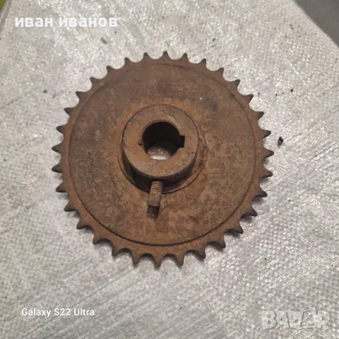 Яка Верижна  Златка 