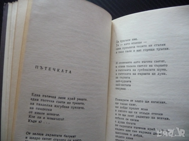 Другар за другаря Димитър Бозаков стихове българска поезия ДВИ Държавно военно издателство рядка 66г, снимка 3 - Художествена литература - 53462860