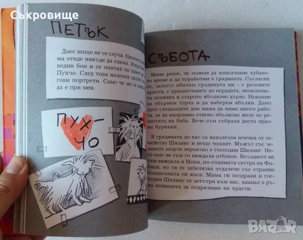 Детска книжка: Дагмар Гайслер - Тайният дневник на Ванда, снимка 6 - Детски книжки - 47862502