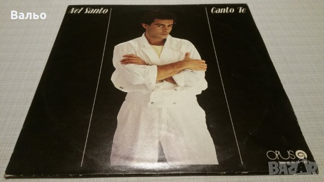 NEL SANTO-CANTO TE