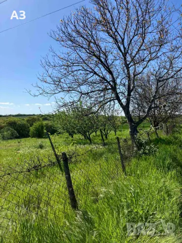 Продавам парцел в село Стамболийски, област Хасково, снимка 10 - Парцели - 50131042