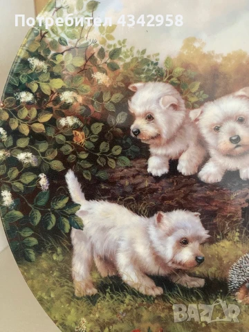 Hutschenreuther.Чиния « Намерено в градина», снимка 4 - Антикварни и старинни предмети - 50812153