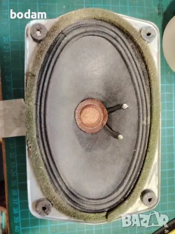 Български говорители 10